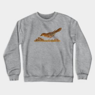 Oplontis Song Thrush Crewneck Sweatshirt